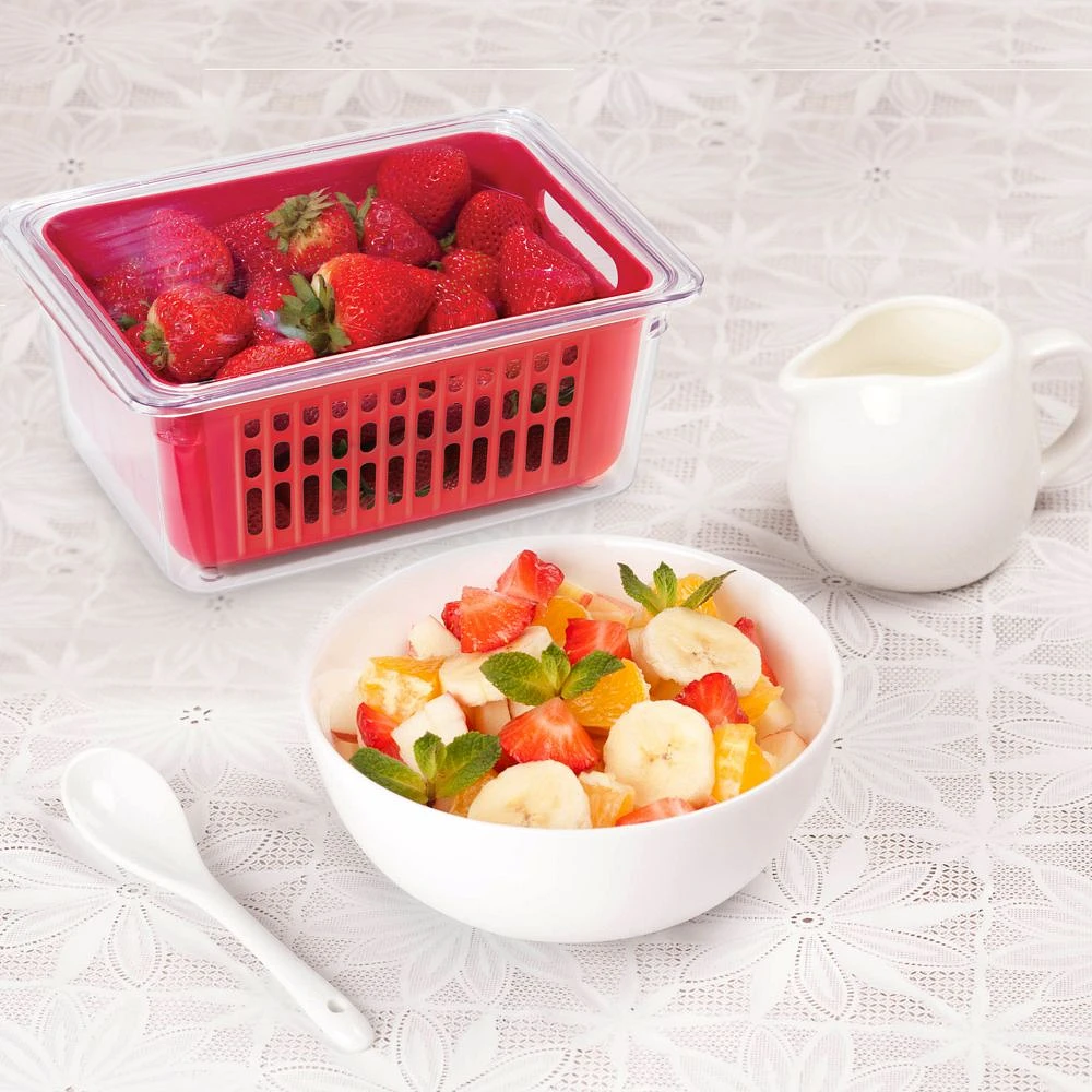 Oggi Single Berry Basket - 22.2 x 17 x 9.5cm