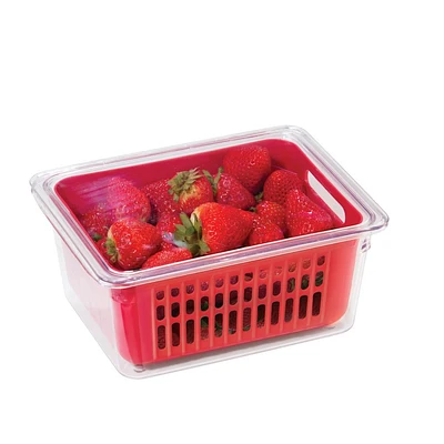 Oggi Single Berry Basket - 22.2 x 17 x 9.5cm