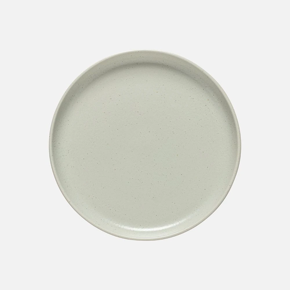 Pacifica Dinner Plate by Casafina