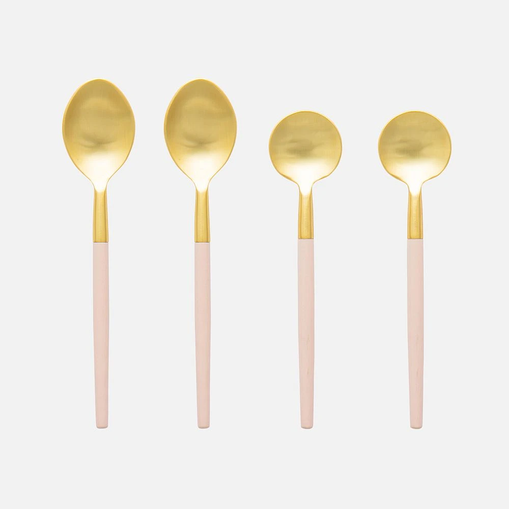 Rosé 4-Pieces Mixed Condiment Spoon Set by David Shaw