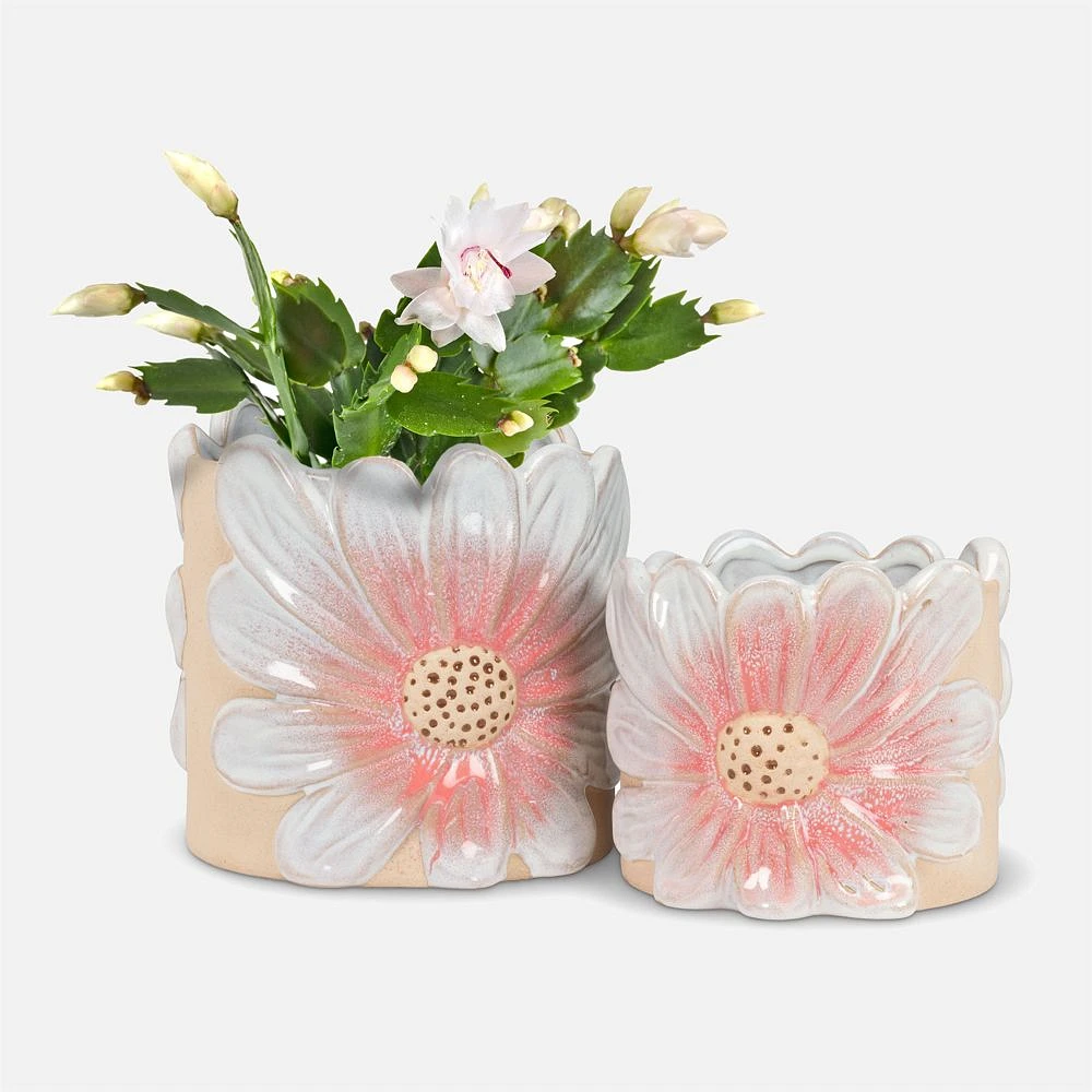 Cache-Pot 6"Marguerite Rose