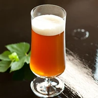 Schott Zwiesel Beer Glass