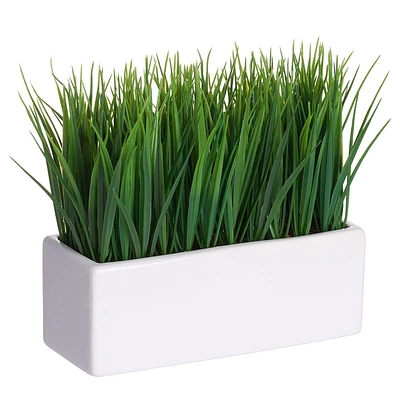 Grass In Ceramic Pot by Gino Signature