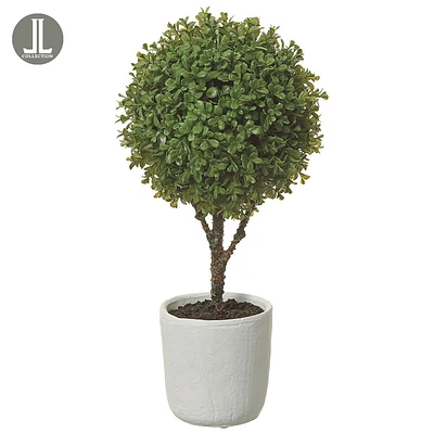 Boxwood Ball Topiary by Gino Signature