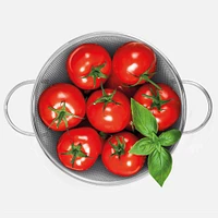 Stainless Steel Colander by Gourmet - 25.5 cm
