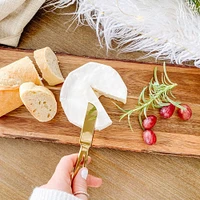 Set of 4 Gold Cheese Knives by Natural Living