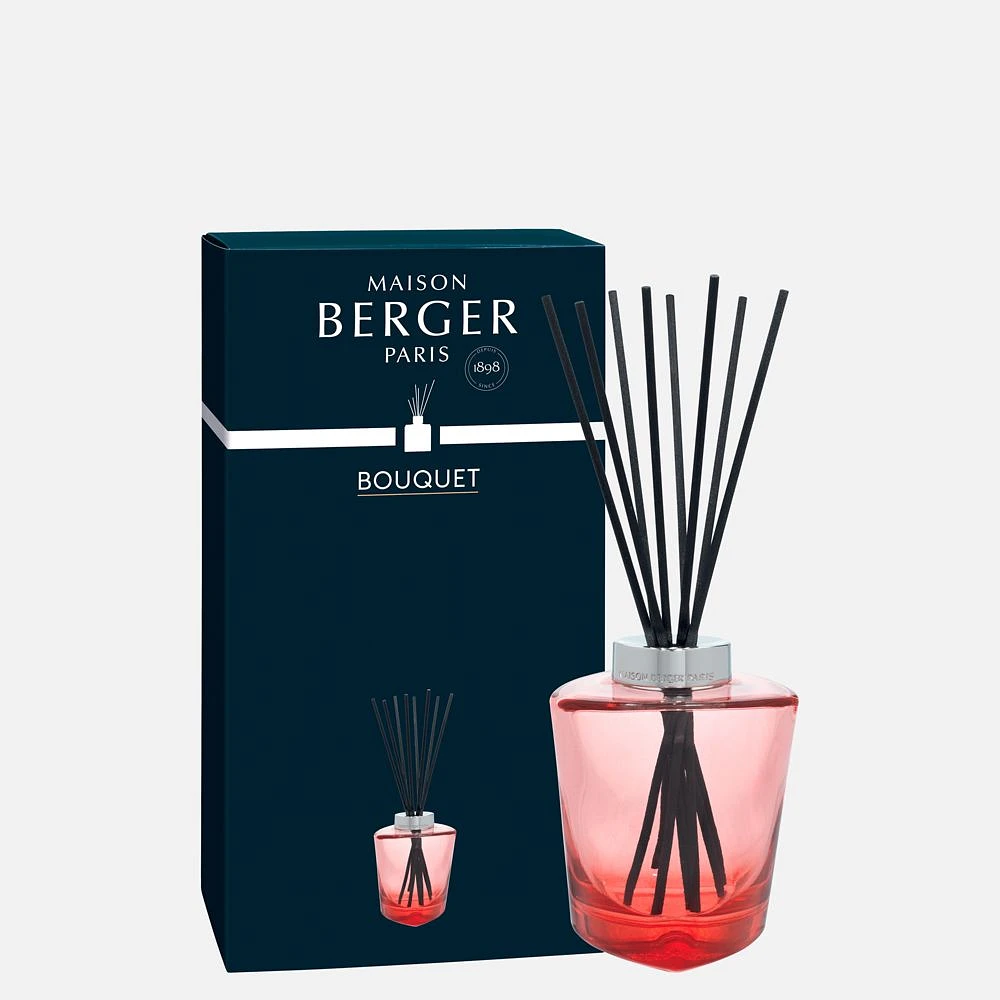 Bouquet parfumé « Terra » par Maison Berger Paris