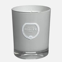 Citronella Candle by Maison Berger Paris