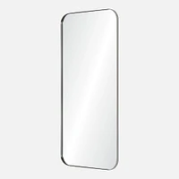 Delphinus Mirror