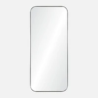 Delphinus Mirror