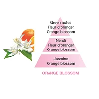 Berger Lamp Orange Blossom Fragrance Refill by Maison Berger Paris – 500 ml