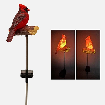 Lumière solaire, Cardinal sur écorce - Rouge