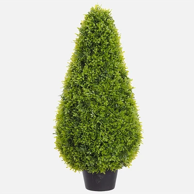 Boxwood topiary in pot - 30''