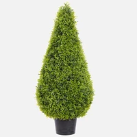 Boxwood Topiary in Pot, 39''