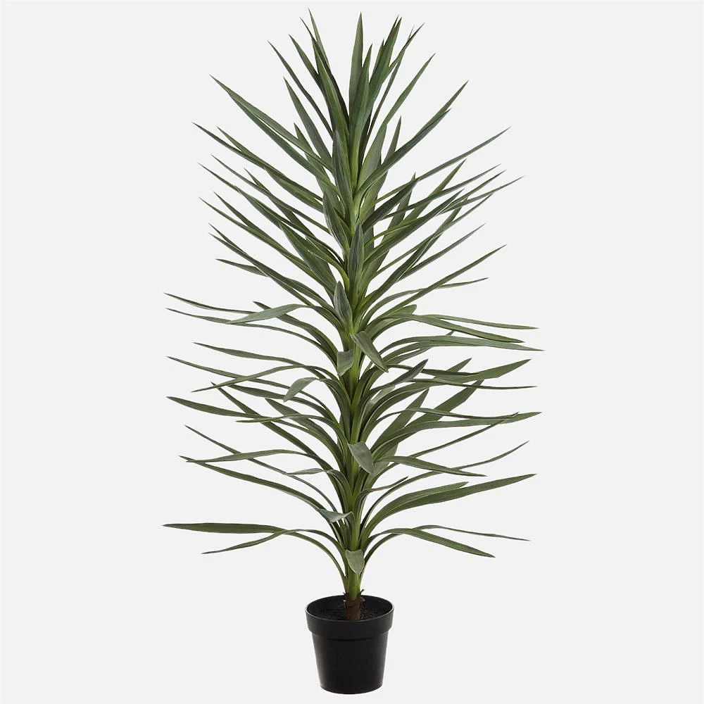 Draceana Tree, 54"