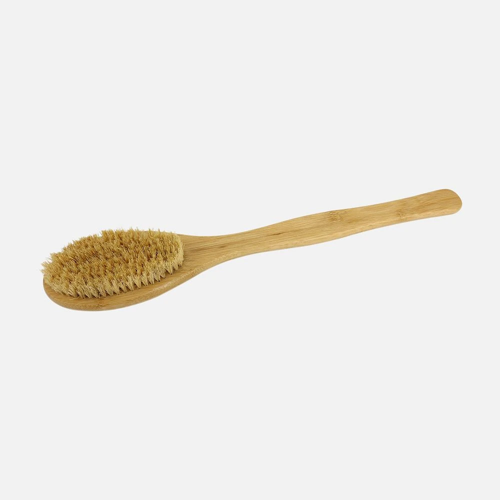 Brosse sèche à manche longue avec fibre de tampico