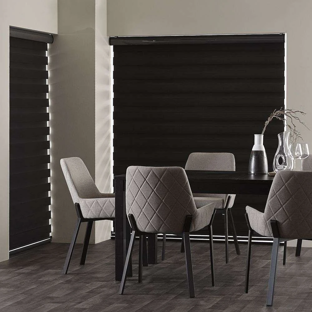 Transition Day & Night Luxury Roller Shades / Zebra Blinds