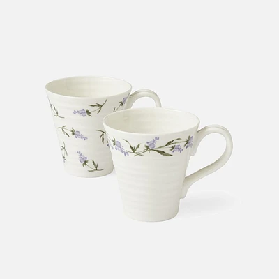 Lavandula Set of 2 Mugs 12.5oz by Sophie Conran