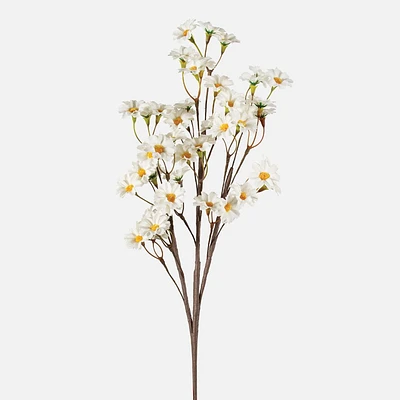 Cabdym Bouquet floral Marguerite - 19 po