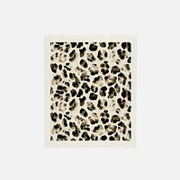 Leopard Sponge Cloths Multi