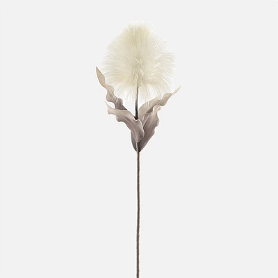 Gousse de plumes fleurie « Desert » par Torre & Tagus