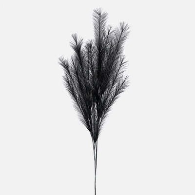 Pampas en plumes noire « Desert » par Torre & Tagus