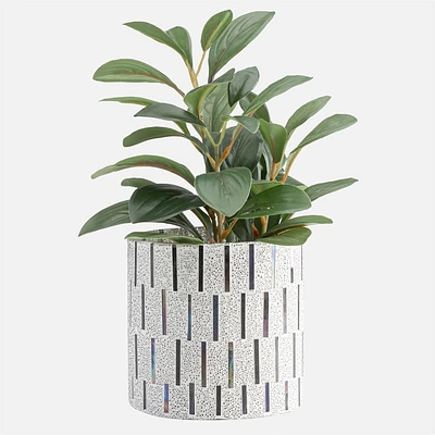 Santorini Glass Planter by Torre & Tagus - 5''