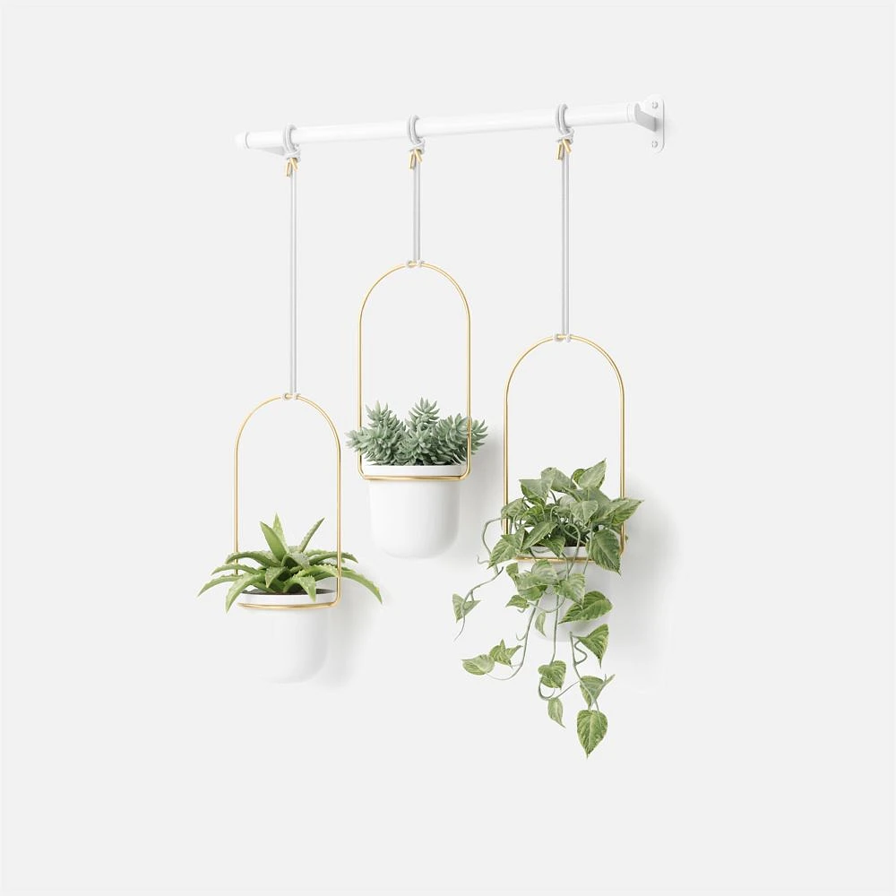 Umbra Triflora Planters