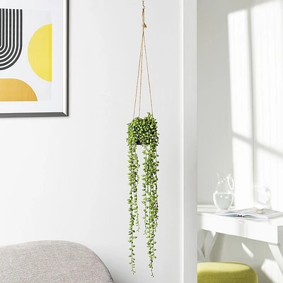 Hanging Plant