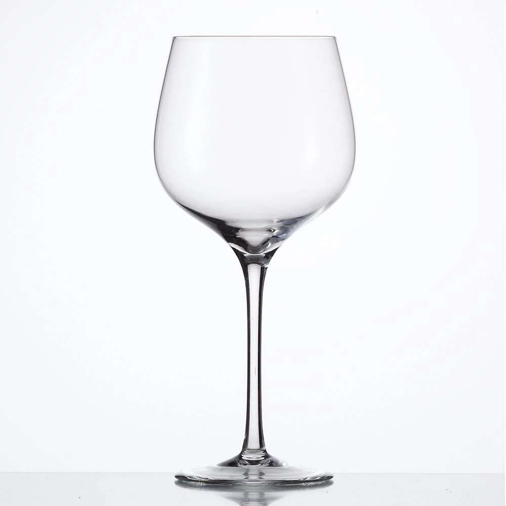 Set of 2 SensisPlus Grand Burgundy Glass by Eisch