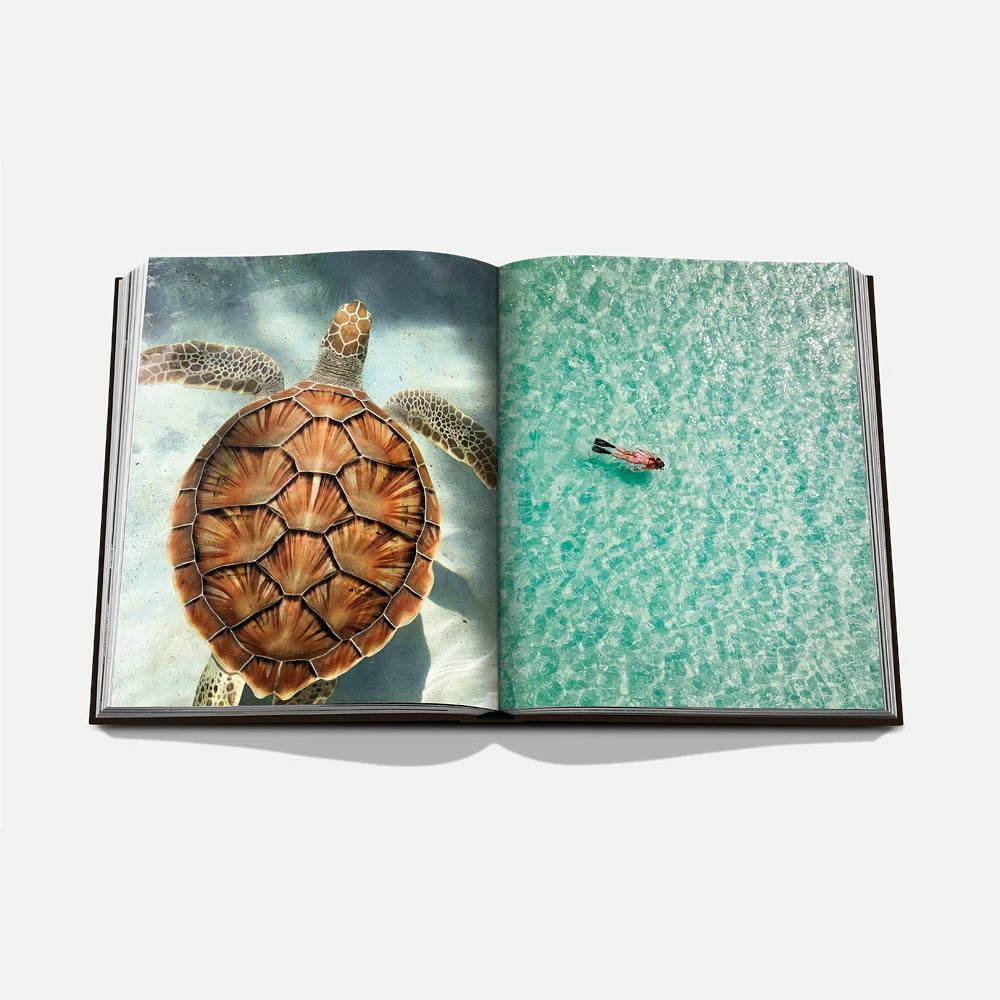 Jamaica Vibes English Book by Assouline