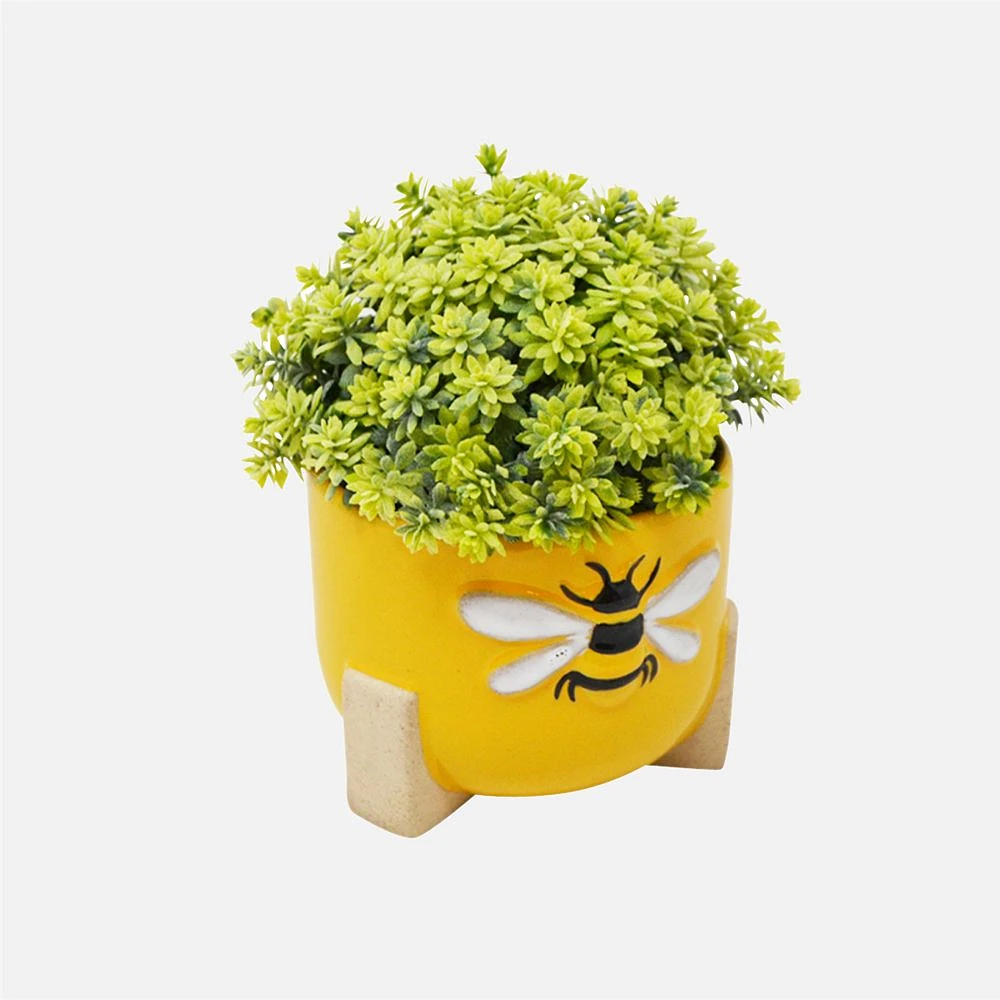 Nostalgia Sedum Bee Planter