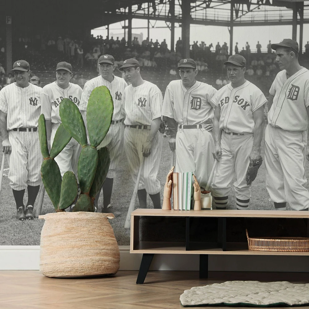 1937 Baseball All-Stars Wallpaper Mural