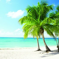 Papier peint mural « Beach the Caribbean »