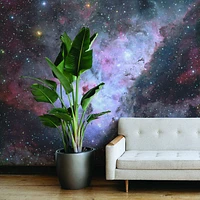 deep space nebula 2 Wallpaper Mural