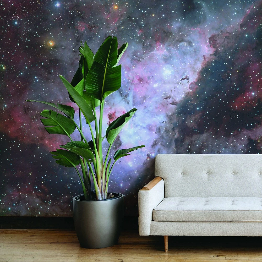 deep space nebula 2 Wallpaper Mural