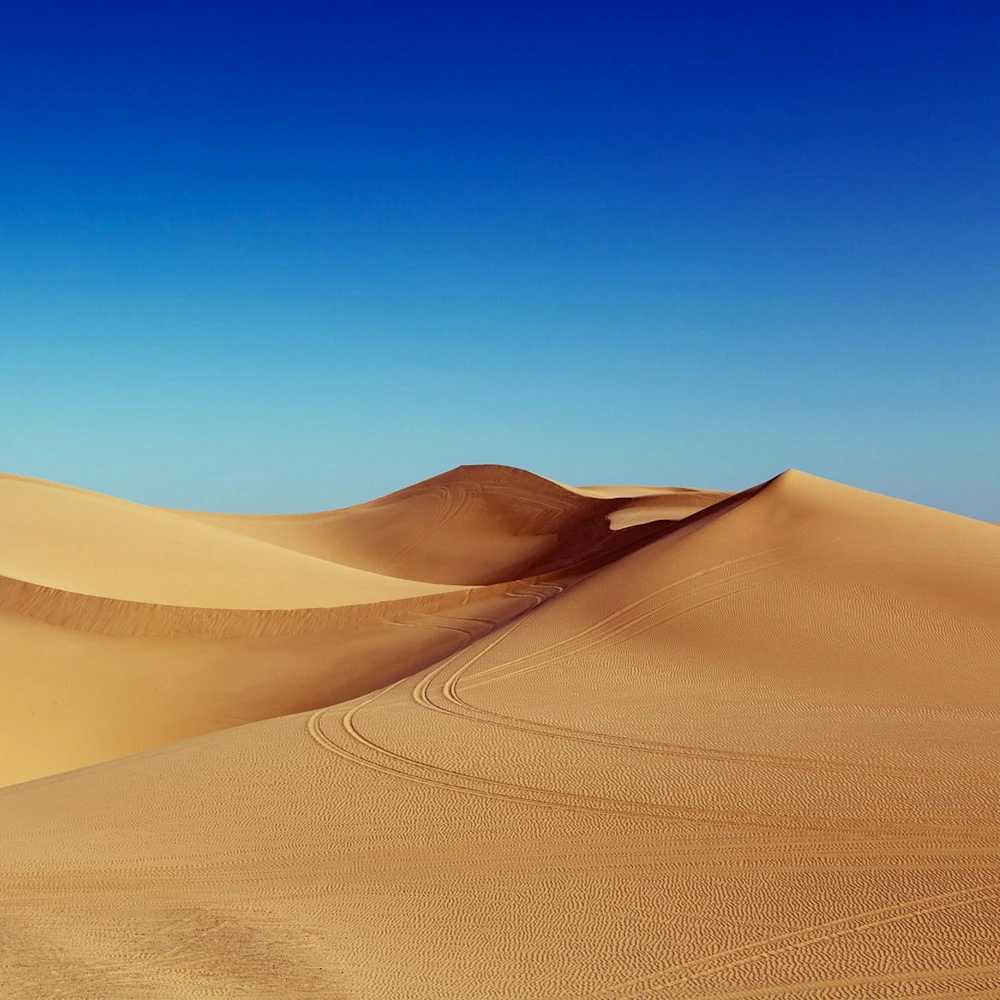 Papier peint mural « Desert Under Blue Sky »