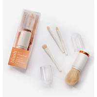 Ensemble de pinceaux de maquillage 4-en-1