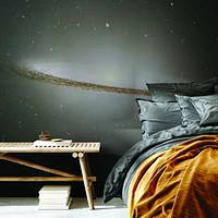 Papier peint mural « Majestic Sombrero Galaxy »