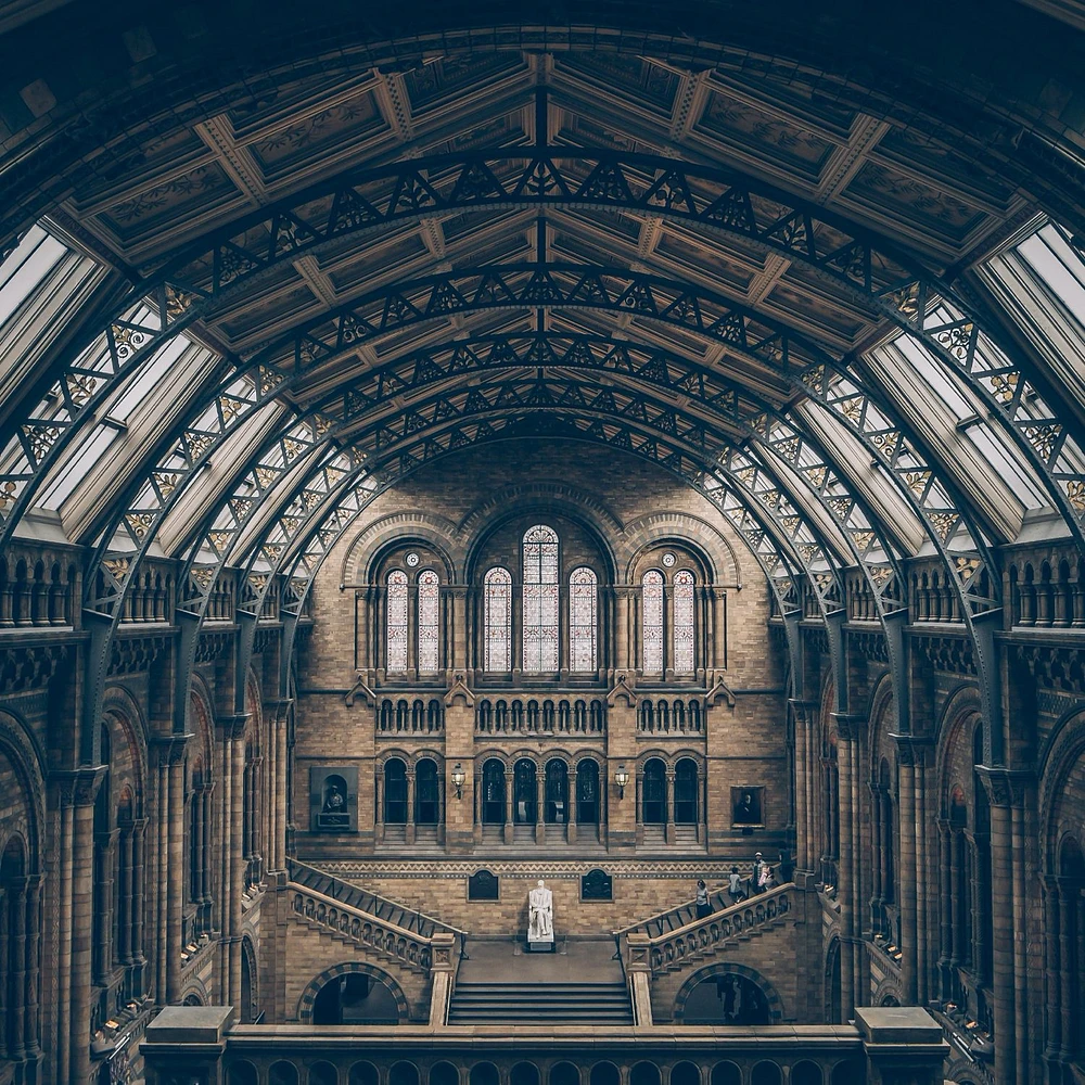 Natural History Museum Wallpaper Mural