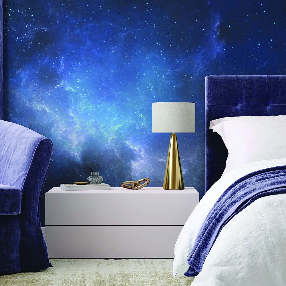 Night Sky With Nebula Wallpaper Mural