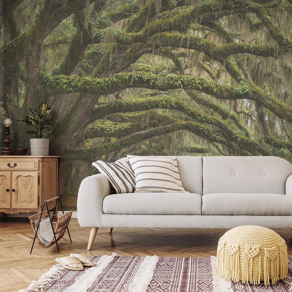 Papier peint mural « Oak Tree Forest »