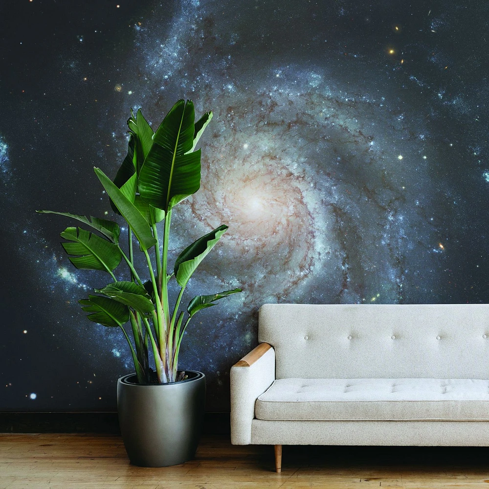 Papier peint mural « Pinwheel Galaxy »