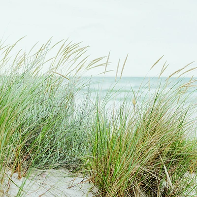 Papier peint mural « Seaside Beach »