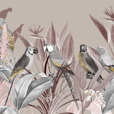 Silver Macaw Jungle Wallpaper Mural