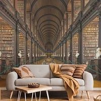 Papier peint mural « Trinity College Library »