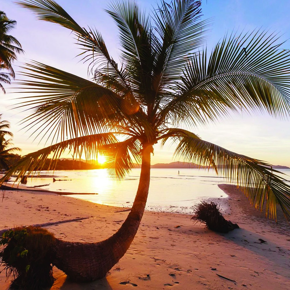 Tropical Beach Sunrise Wallpaper Mural