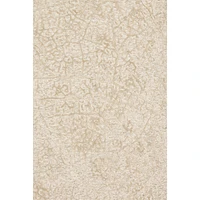 Loloi Juneau Rug