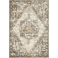 Loloi Landscape Rug