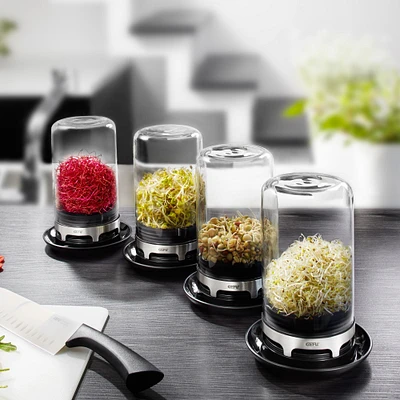 Bivita Sprouting Jar by Gefu